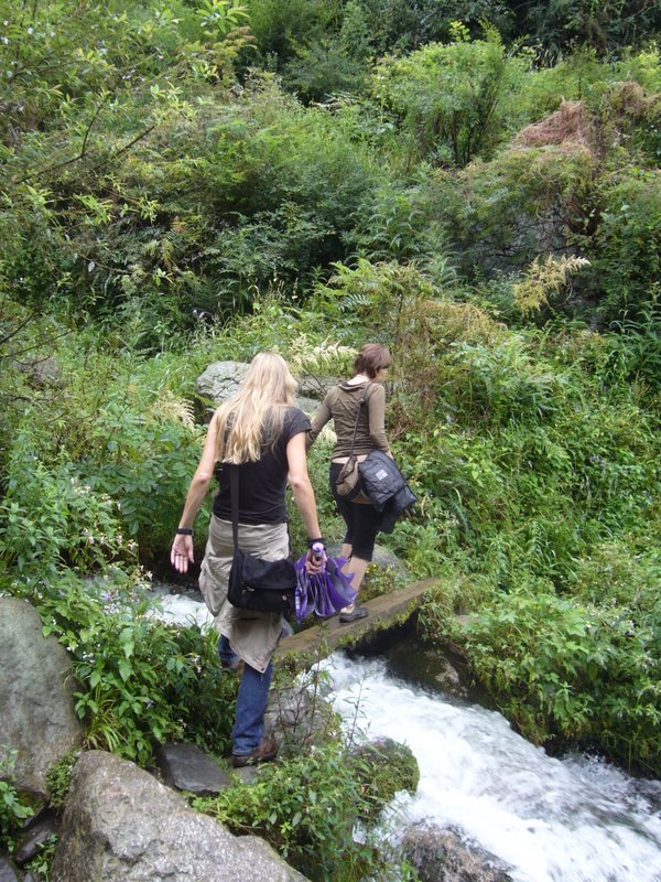 Travel - India - Himachal Pradesh - Parvati Valley - Pulga - Barshani to Pulga